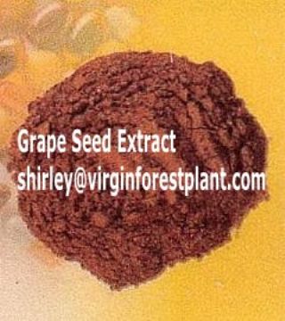 Grape Seed Extract (Shirley At Virginforestplant Dot Com)